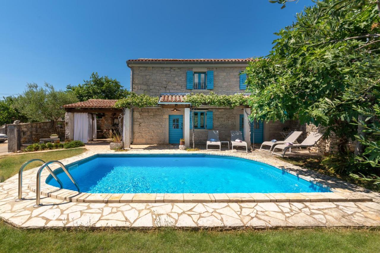 Villa Janko Sveti Lovreč Pazenatički Extérieur photo