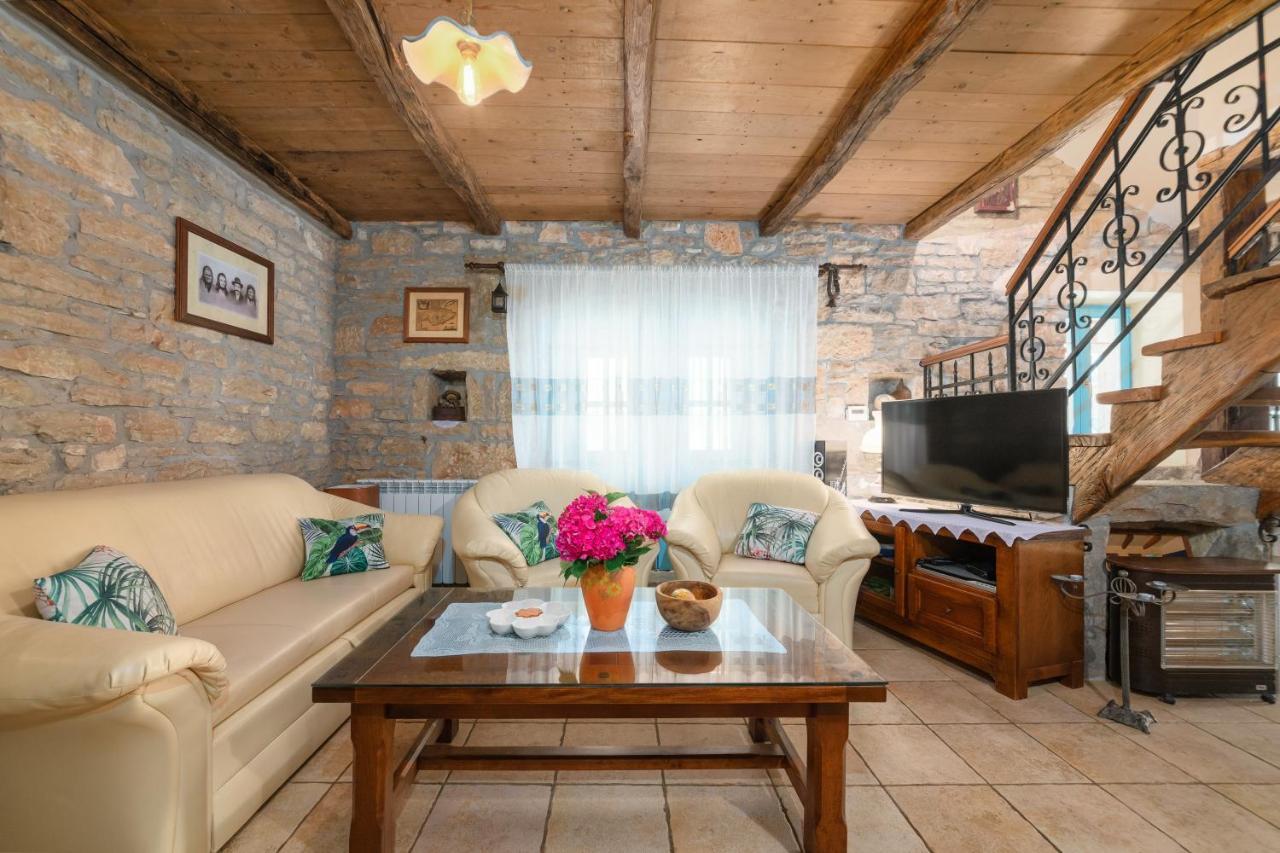 Villa Janko Sveti Lovreč Pazenatički Extérieur photo