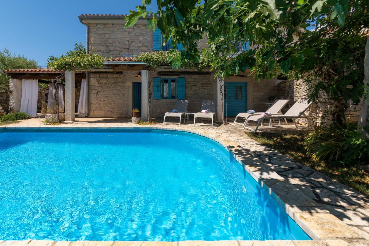 Villa Janko Sveti Lovreč Pazenatički Extérieur photo