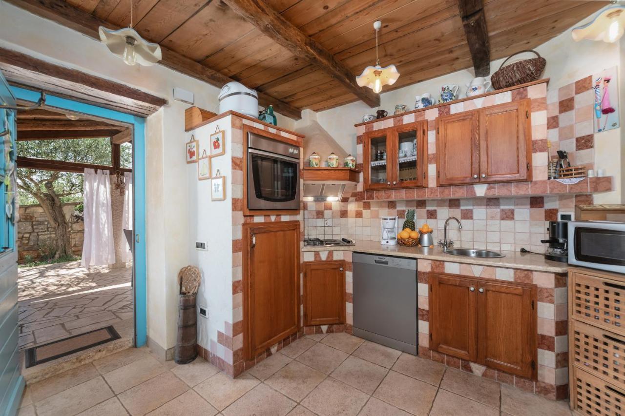 Villa Janko Sveti Lovreč Pazenatički Extérieur photo